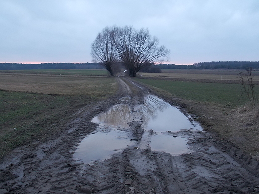 Szczypiorno. Wieczorny spacer.