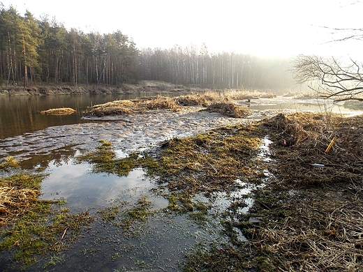 Szczypiorno. Poranek nad Wkr.