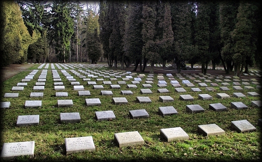 Cmentarz olnierzy Woskich