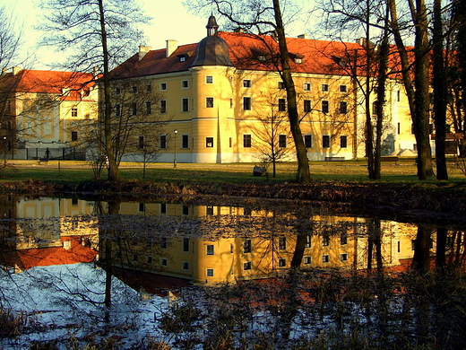 Pocysterski  Zesp Klasztorno - Paacowy w Rudach