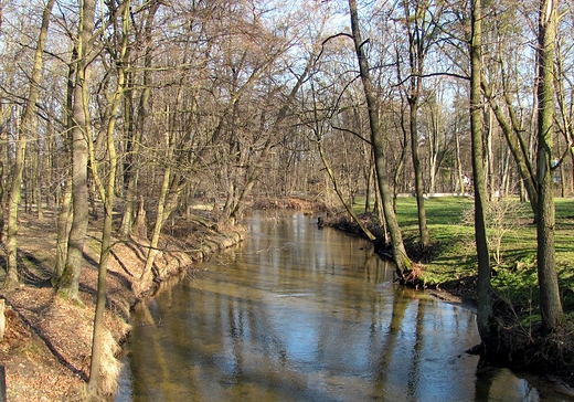 Rzeka Wieprz w Zwierzycu