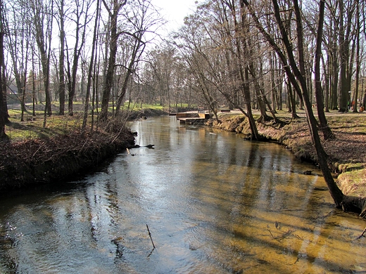 Widok na rzek Wieprz z parkowego pomostu