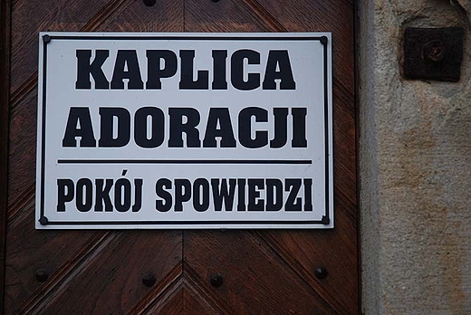Koci oo. kapucynw