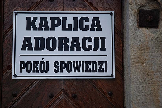 Koci oo. kapucynw