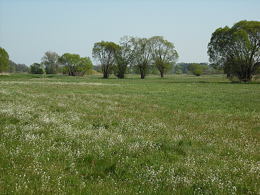 ki nad widrem w okolicach Duewa