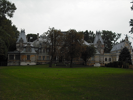 Pałac w Guzowie