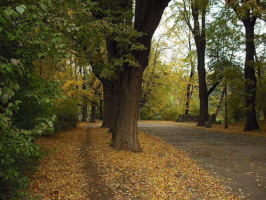 Park Skaryszewski w Warszawie