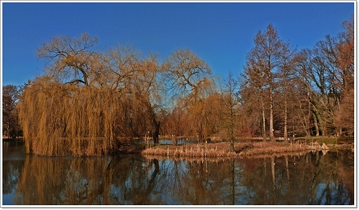 Krnik - arboretum