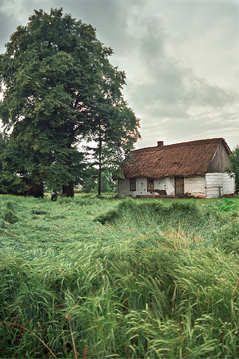 Stare domostwo w okolicach Urszulina. Poleski Park Narodowy