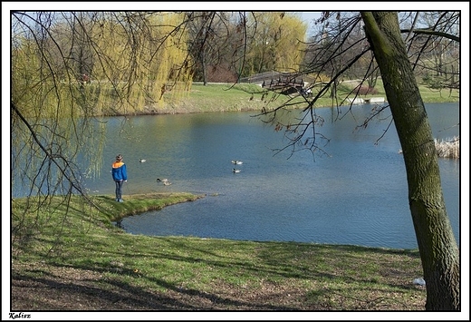 Kalisz - pocztek wiosny 2014 r. w Parku Przyjani