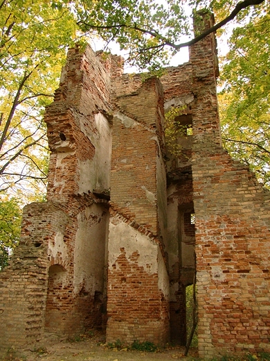 Ruiny zamku biskupw pockich XVII w.