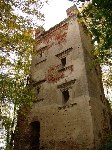 Ruiny zamku biskupw pockich XVII w.