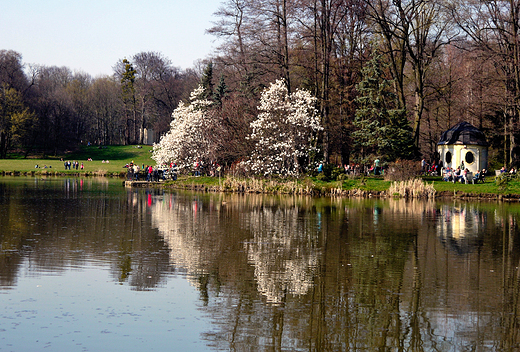 Pierwszy dzie wiosny w Pszczynie. Park Zamkowy.