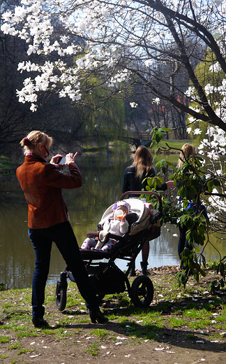 Pierwszy dzie wiosny w Pszczynie. Park Zamkowy.