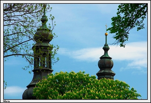 Warta - barokowy koci i klasztor Ojcw Bernardynw pw. Wniebowzicia NMP