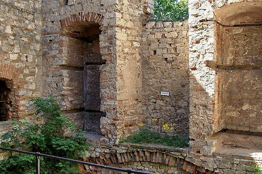 Babice - ruiny zamku Lipowiec.