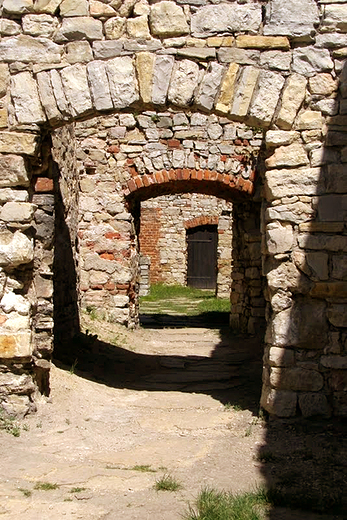 Babice - ruiny zamku Lipowiec.