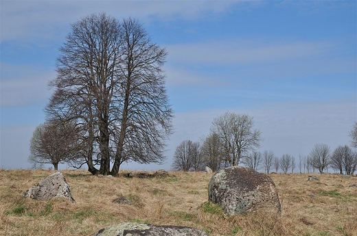 Suwalski PK, gazowisko Rutka