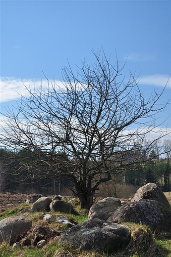 Gazowisko Bachanowo, Suwalski PK