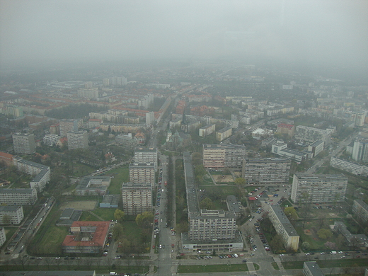 Widok z punktu widokowego Sky Tower