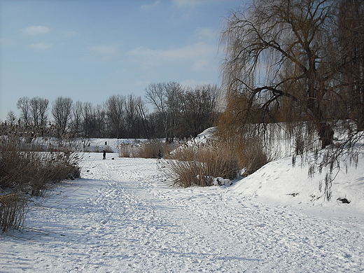 Zimowy Park Szczliwicki w Warszawie
