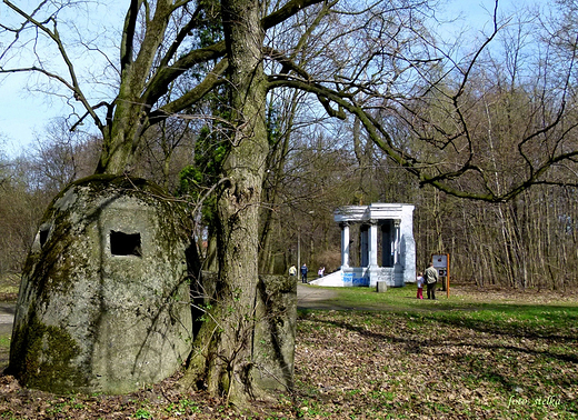 Park Zabytkowy w Sawicicach