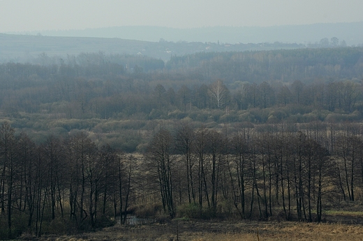 Roztocze. Widok na dolin Wieprza