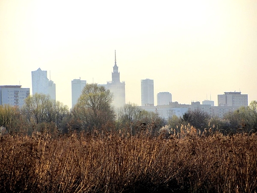 Wiosna nad Jeziorkiem Czerniakowskim