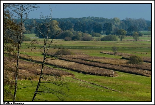 Biakw Kocielny -  ki nad rzeczk Kiebask _ zdjcie wykonane ze wzgrza kocielnego