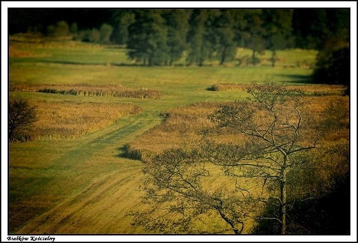 Biakw Kocielny -  ki nad rzeczk Kiebask _ zdjcie wykonane ze wzgrza kocielnego