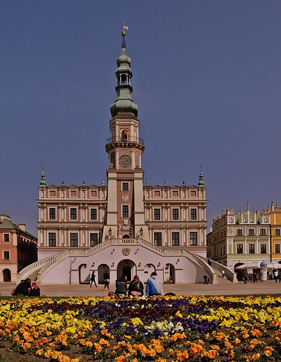 Zamo. Rynek Wielki. Wiosna