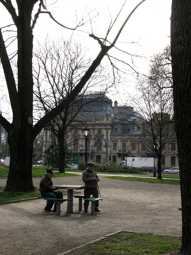 Szachy w Staromiejskim Parku