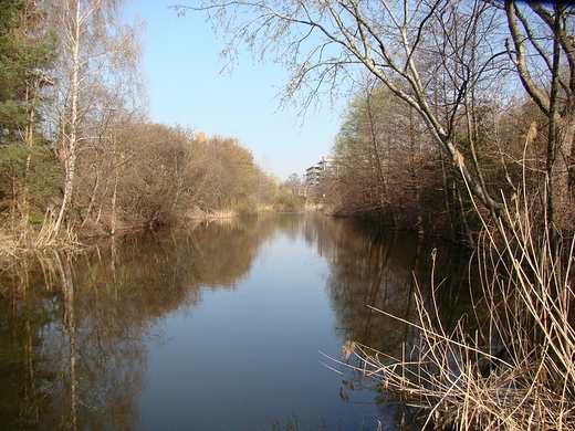 Fort Szczliwice