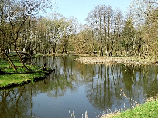 W konstanciskim parku i na jego obrzeach