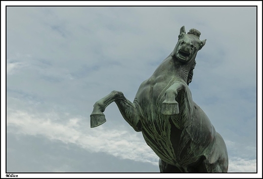 Milicz - neoklasycystyczny kompleks paacowy hrabiw Maltzan - rzeby koni
