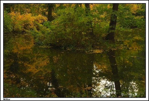 Milicz - neoklasycystyczny kompleks paacowy hrabiw Maltzan _ park w stylu angielskim