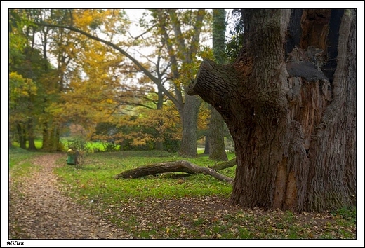 Milicz - neoklasycystyczny kompleks paacowy hrabiw Maltzan _ park w stylu angielskim