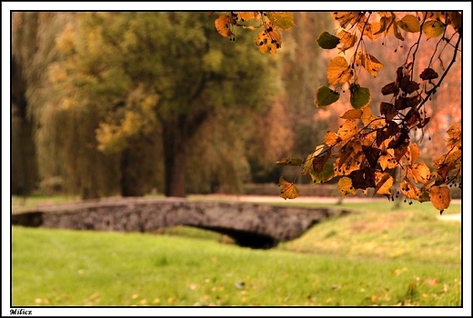 Milicz - neoklasycystyczny kompleks paacowy hrabiw Maltzan _ park w stylu angielskim