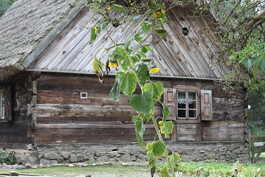 Skansen Sierpc