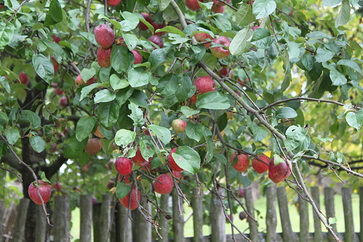 Skansen Sierpc