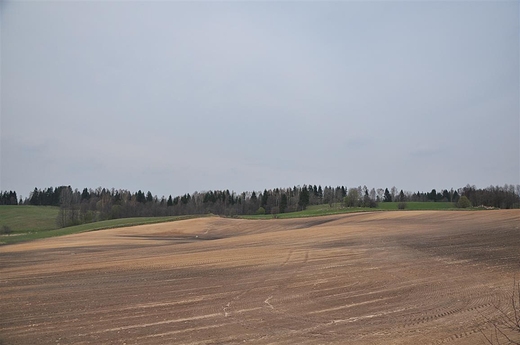 Suwalszczyzna