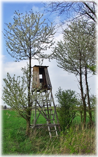 Park Krajobrazowy Dolina Bystrzycy- obszar Natura 2000