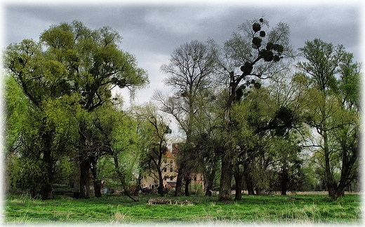 Park Krajobrazowy Dolina Bystrzycy- obszar Natura 2000