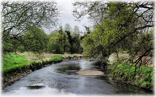 Park Krajobrazowy Dolina Bystrzycy- obszar Natura 2000