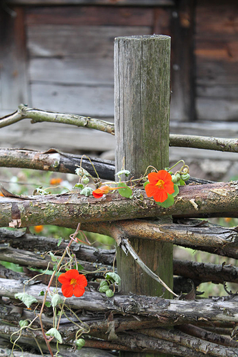 Skansen Sierpc