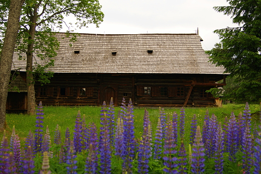 Skansen