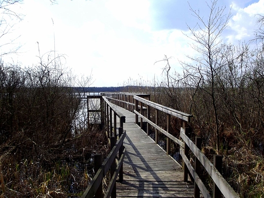 Pomost nad jeziorem ukie - Poleski Park Narodowy