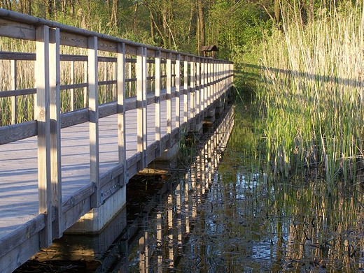 Pomost nad jeziorem ukie - Poleski Park Narodowy