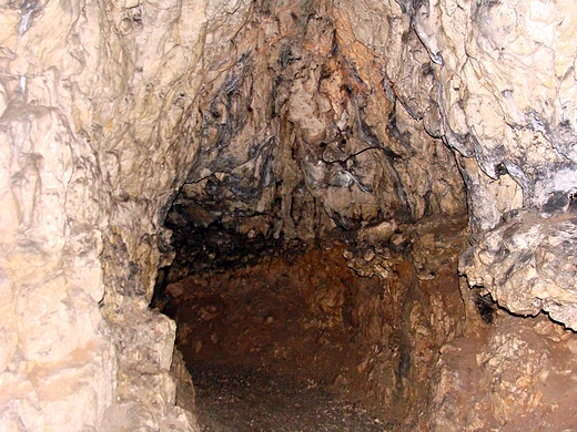 Jaskinia Wierzchowska Grna