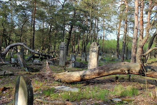 Cmentarz ydowski w Otwocku